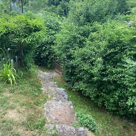 Chata Horna Lehota Деревянный коттедж